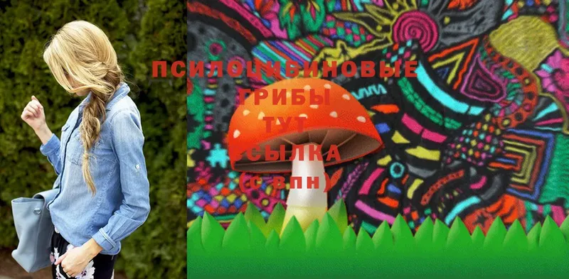 мега зеркало  дарнет шоп  Апшеронск  Галлюциногенные грибы Magic Shrooms 